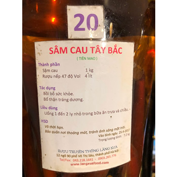 Sâm cau Tây Bắc số 20